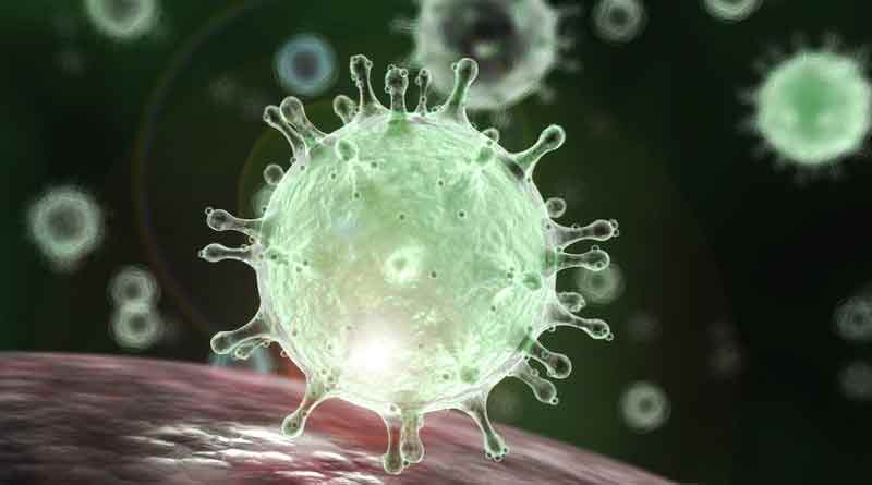 China created coronavirus, said Nobel laureate Luc Montagnier