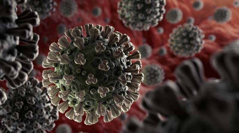 India reports 8,954 new Coronavirus cases, 267 deaths | Sangbad Pratidin