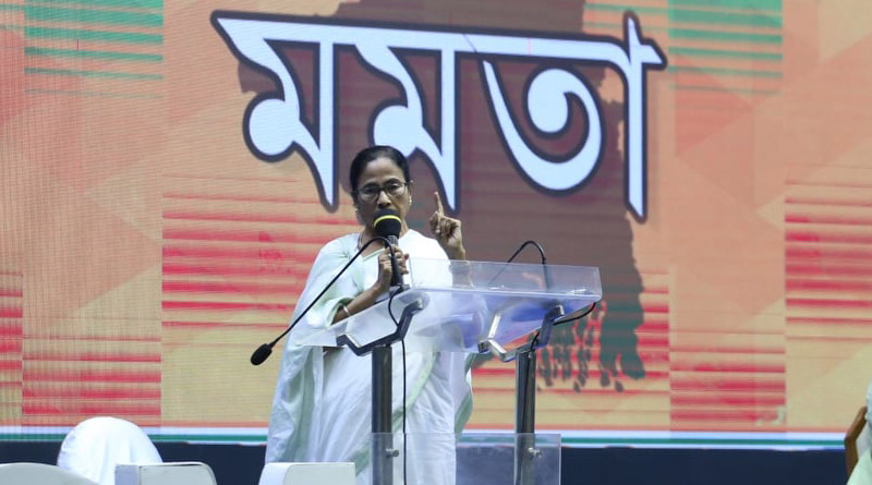 ‘বাংলার গর্ব মমতা’, নতুন কর্মসূচি ঘোষণার দিন নানা রূপে তৃণমূলের নেতাকর্মীরা