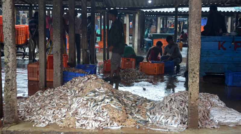 Digha's fish auction centre closed due to corona virus scare
