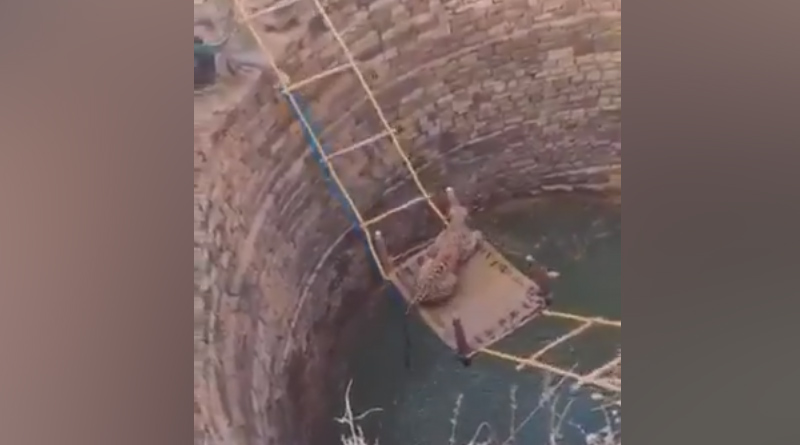Leopard rescued from deep well using creative technique