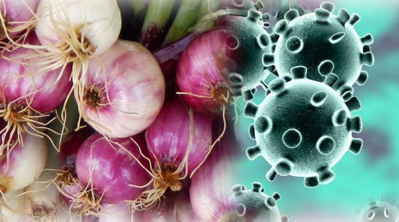 Now Coronavirus deals blow to Bengal onion farmers