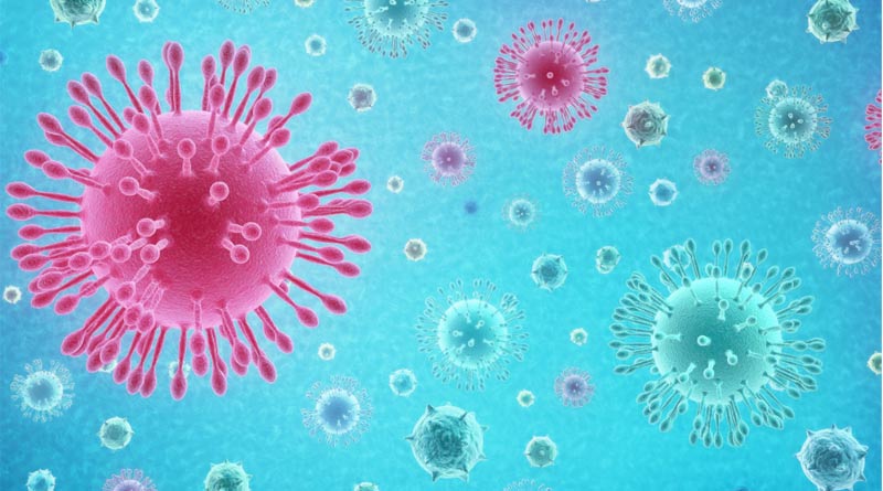 Coronavirus patients who tested positive twice cannot pass on virus