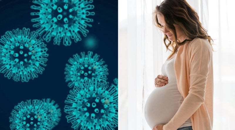 Coronavirus Does Not Spread From Pregnant Mothers To Newborns