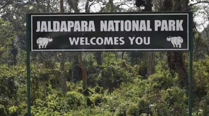 Fire errupted from burning bidi in Jaldapara forest according to primary investigation