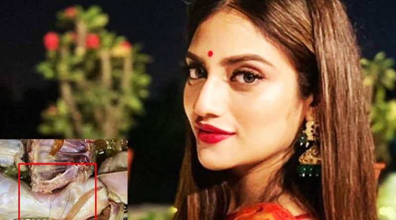 Netizens trolled Nusrat Jahan after seeing a strand of hair in her chicken