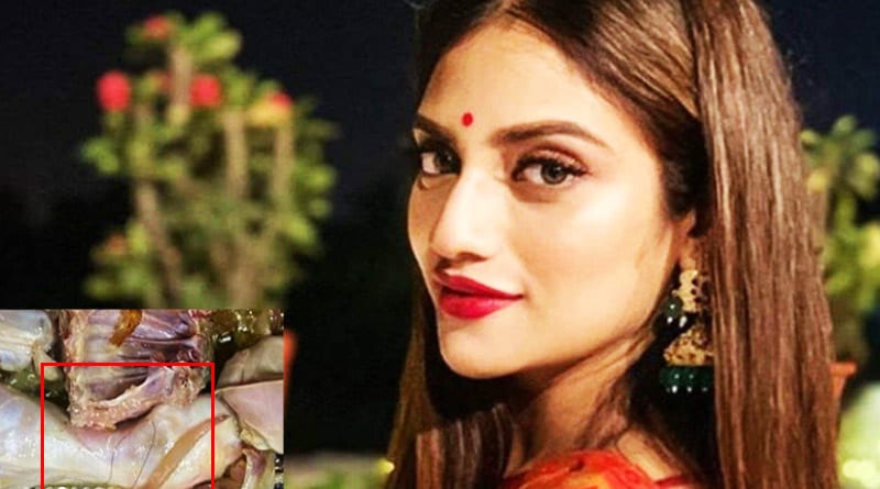 সাধের চিকেনে চুল! নেটদুনিয়ায় কটাক্ষের শিকার ‘রাঁধুনি’ নুসরত জাহান