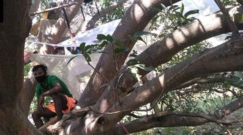 বাড়িতে বাড়তি ঘরের অভাব, গাছে মাচা খাটিয়ে কোয়ারেন্টাইনে সাত যুবক
