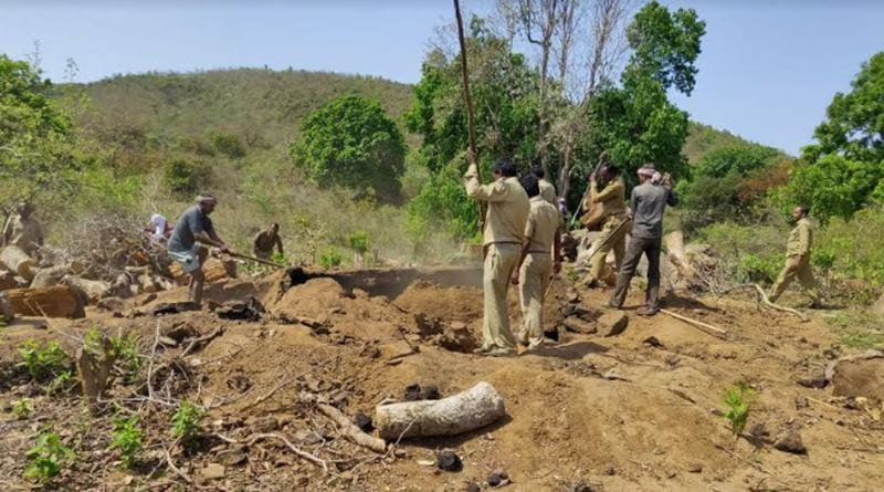 পাহাড় চূড়ায় বেআইনিভাবে তৈরি হচ্ছিল কাঠ-কয়লা, অভিযান চালিয়ে উনুন ভাঙল বনদপ্তর