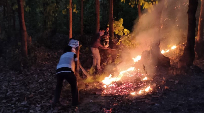 পুড়ছে ‘অরণ্য সুন্দরী’ পুরুলিয়া, আগুনের গ্রাসে বিপন্ন অযোধ্যা পাহাড়ের বন্যপ্রাণ