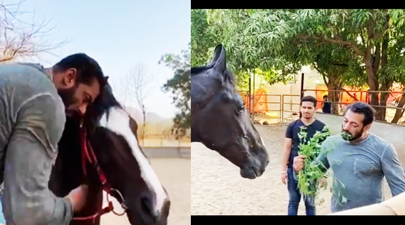 Actor Salman Khan goes on a ride after having breakfast with his pet horse