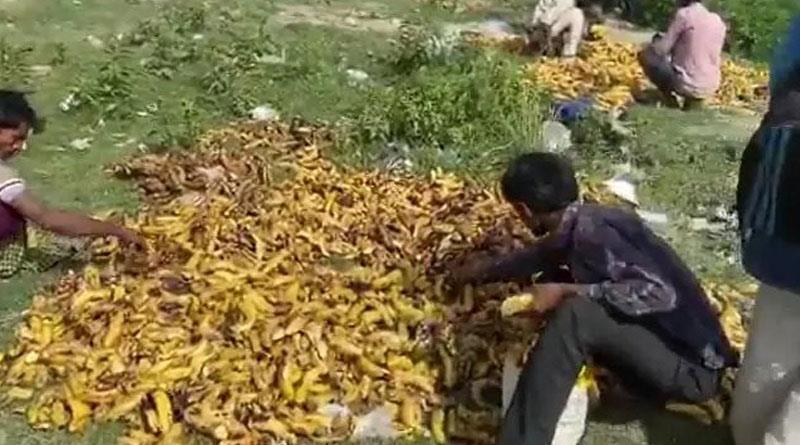 হায় ঈশ্বর! পেটের জ্বালা মেটাতে শ্মশানের ‘পচা’ কলাই ভরসা পরিযায়ী শ্রমিকদের