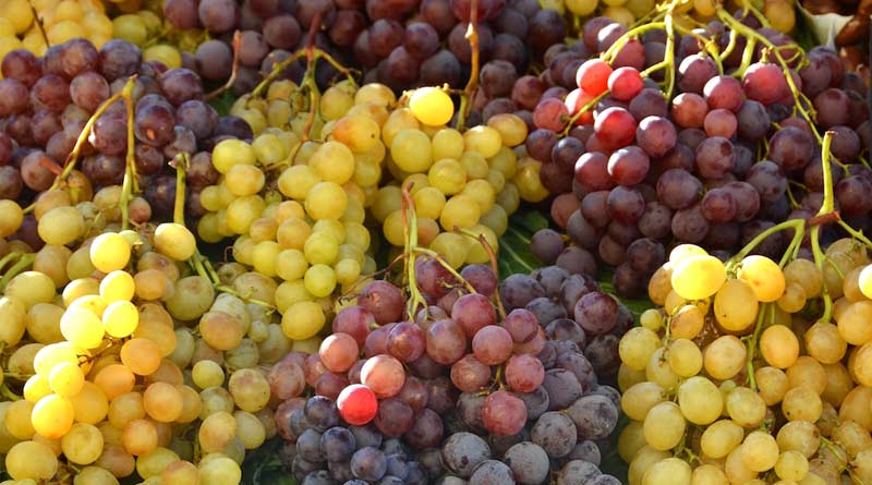 Maharashtra grape farmers facing problem during lockdown