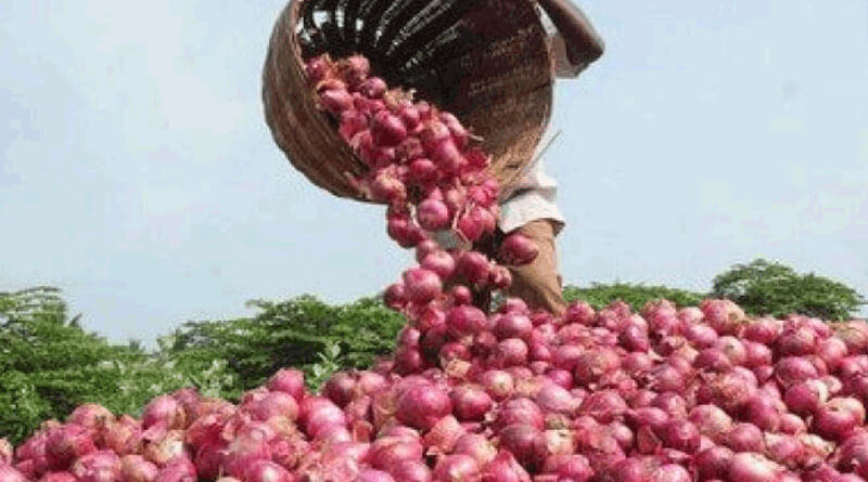 Farmers in trouble as Onion from Nasik in high demand | Sangbad Pratidin