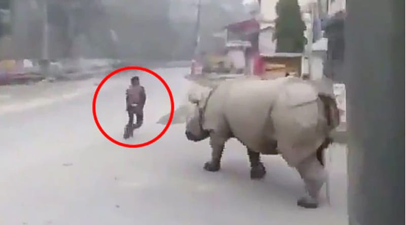 লকডাউনে বাইরে বের হওয়ার ‘শাস্তি’! নেপালের রাস্তায় গণ্ডারের তাড়া খেলেন যুবক