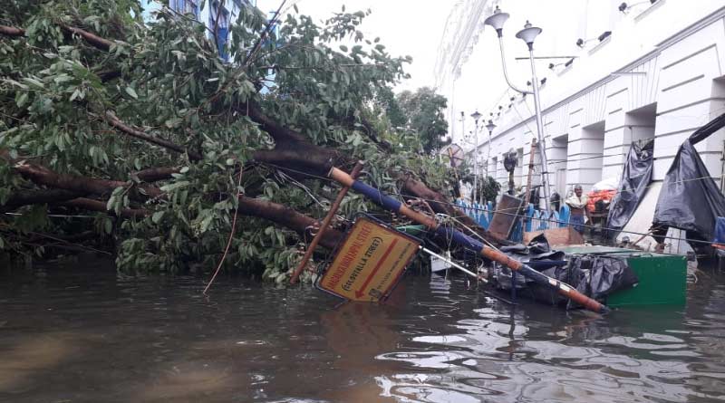 বাংলায় ১৭৩৭ সালের বিধ্বংসী ঝড়ের স্মৃতি ফেরাল আমফান 