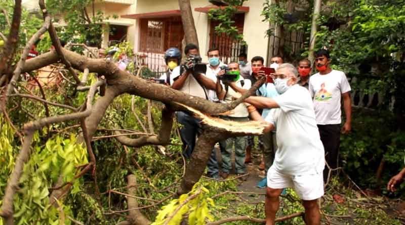‘রাজ্য সরকারকে সাহায্য করছি’, নিজে হাতে রাস্তা থেকে ভাঙা গাছ সরিয়ে বার্তা দিলীপের