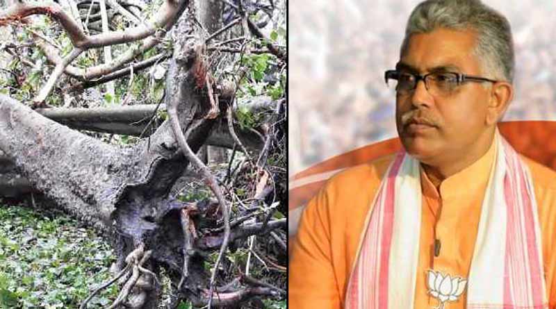 Super cyclone Amphan is 'manmade', controversial comment by Dilip Ghosh