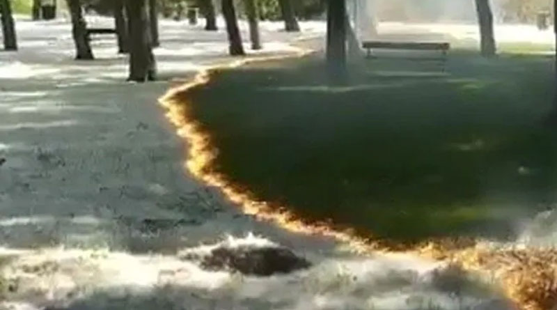 A Fire burns land without touching trees in Spain, Viewers astonished