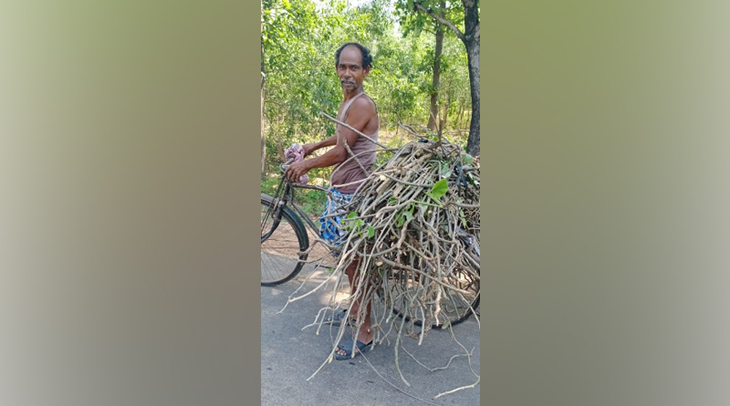 বাংলার গুলঞ্চেই কাত হচ্ছে গুজরাটের করোনা