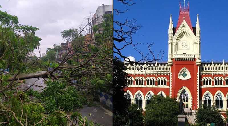 Due to Amphan internet service suspended in Kolkata High Court