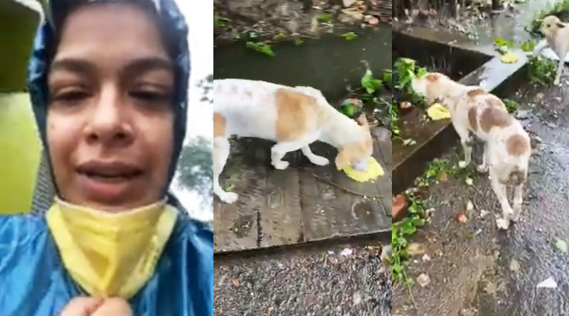 Iman Chakraborty rescues stray dogs amid of this storm