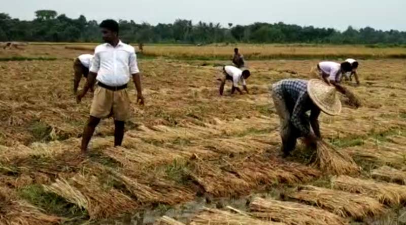 RSS members and muslim farmers work together in the field during lockdown
