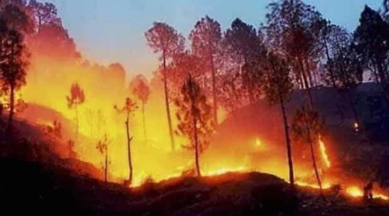 Massive wildfire broke out in Uttarakhand amid Pandemic