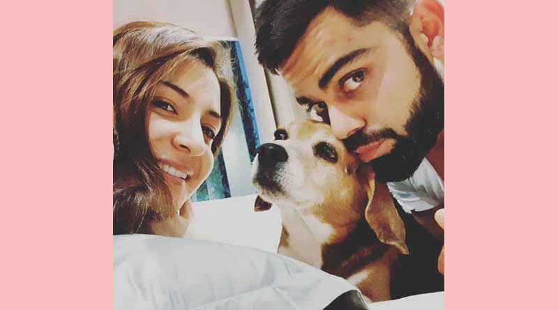 Virat Kohli posts emotional message as his dog passes away