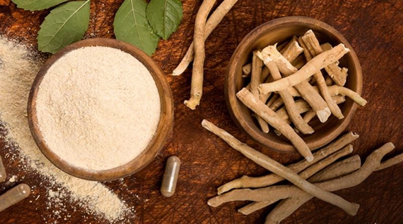 Ashwagandha could help to fight against COVID-19, says IIT-Delhi