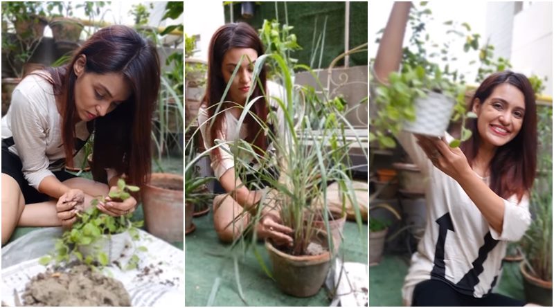 Priyanka Sarkar makes a small garden in her veranda during lockdown