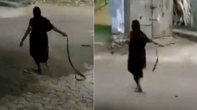 Video of elderly woman dragging cobra by tail and throwing it goes viral.