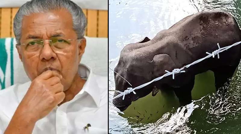 কেরলে হাতি খুনের ঘটনার তদন্তে নয়া মোড়, চিহ্নিত ৩ সন্দেহভাজন