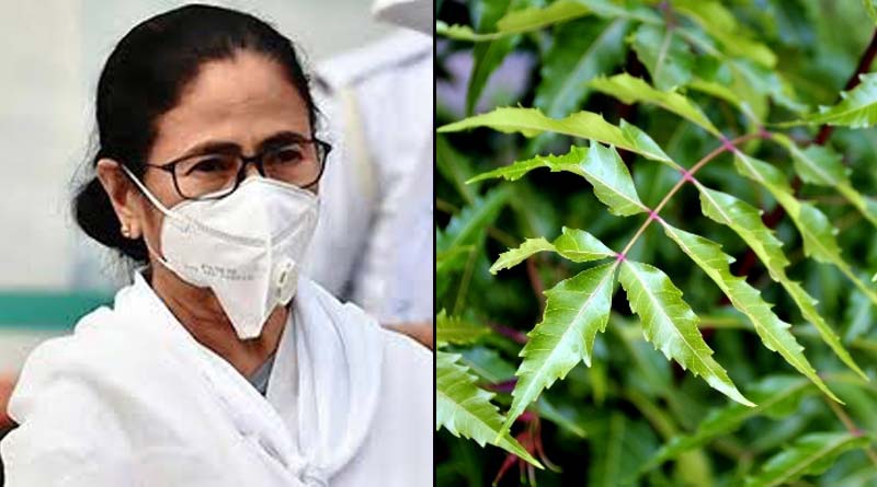 Mamata Banerjee to plant Neem Tree on World Environment Day