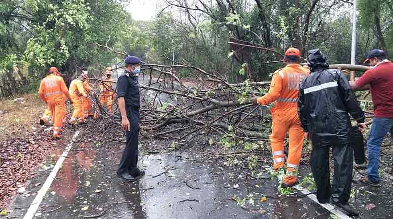 নিসর্গ প্রাণ কাড়ল ৩ জনের, মুম্বইয়ের একাংশে ব্যাহত বিদ্যুৎ পরিষেবাও