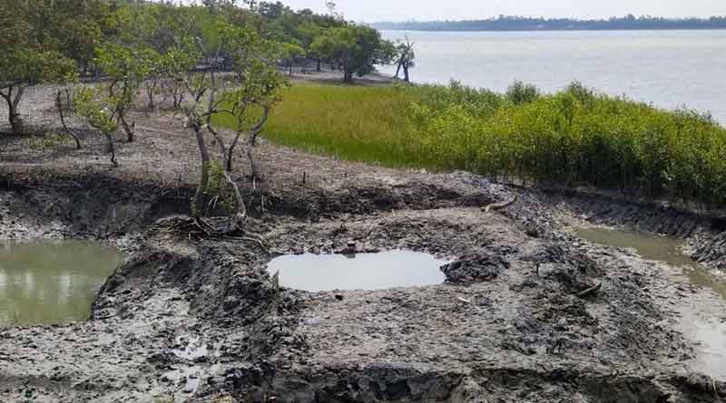আমফান কেড়েছে নদীবাঁধ, কোটালের আগে ফের প্লাবনের আশঙ্কায় কাঁটা সুন্দরবন