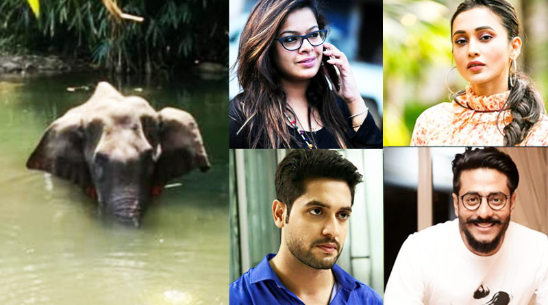 Tollywood celebs Mimi, Raj, Imon opens up on animal rights in our country