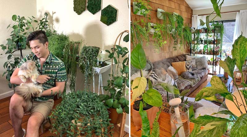 United States: This man spends Rs 3.8 lakh to cover home with plants