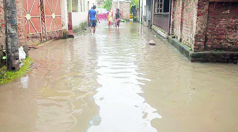 অল্প বৃষ্টিতেই জলের তলায় হাওড়ার একাধিক এলাকা, মশা ও সাপের উপদ্রবে নাজেহাল স্থানীয়রা