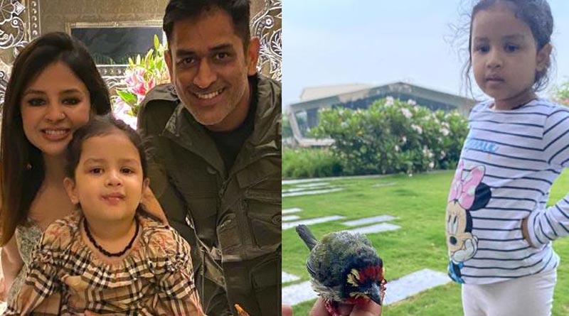 ‌‌Sports News in Bengali: Dhoni's Daughter Ziva is Getting Rape Threats in social media after CSK Lost IPL Match to KKR | Sangbad Pratidin‌‌