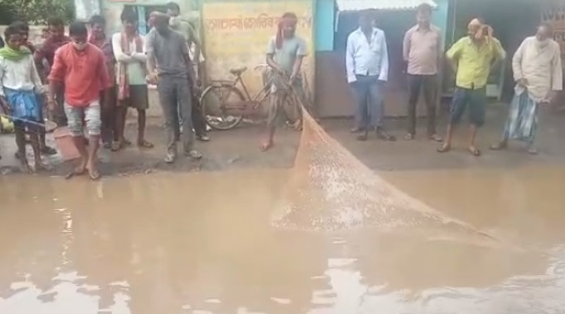 বেহাল দশা রাস্তার, খানাখন্দে জমা জলে মাছ ছেড়ে অভিনব প্রতিবাদ বিজেপির