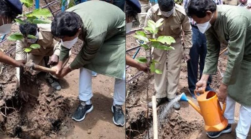 গাছের নামে গ্রাম! হারিয়ে যাওয়া বৃক্ষ রোপন করে নামের মহিমা ফেরাচ্ছে বনদপ্তর
