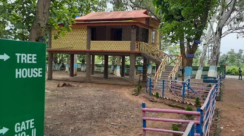 State forest department preapared Purulia tree house for Monsoon