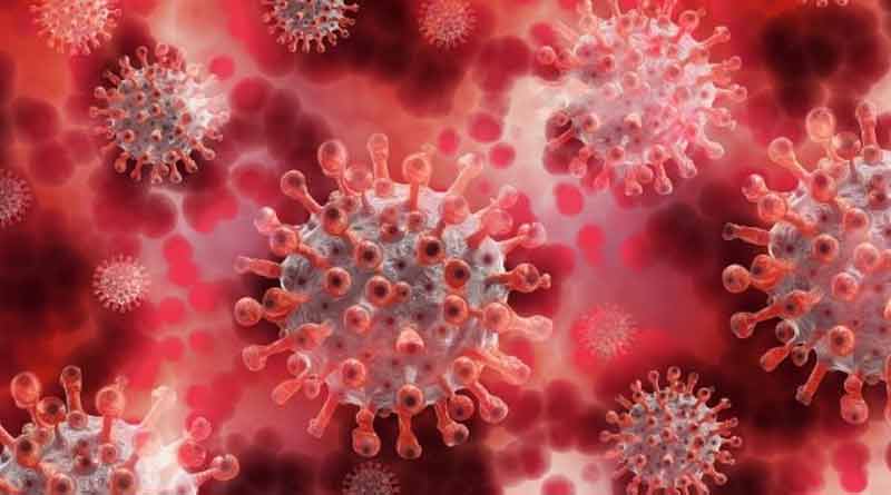 Last 24 hours 1560 people infected in coronavirus in West Bengal
