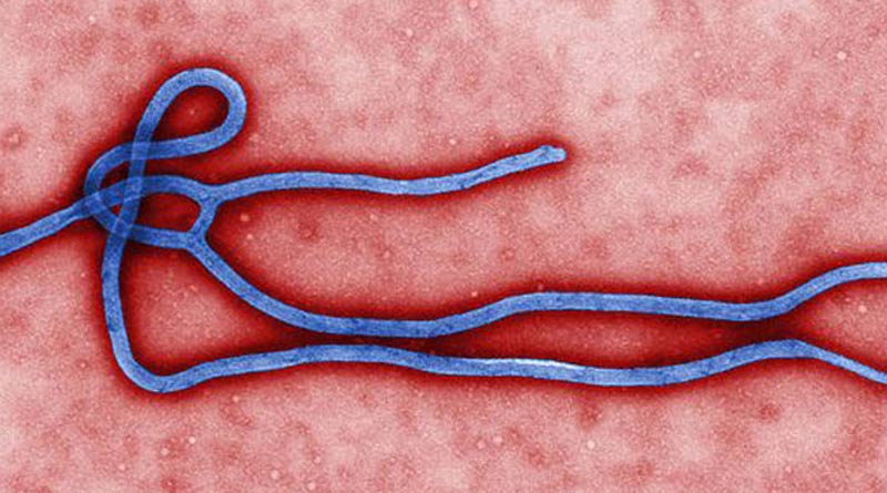 Ebola virus spreads again amidst corona situation in Congo, Africa