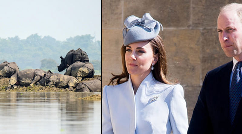 Prince William and Kate write letter to express sorrow for flood situation in Kaziranga