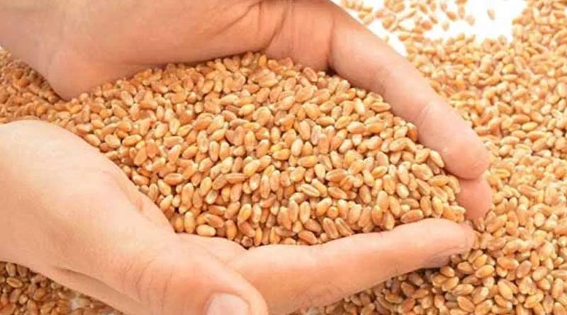 Now people get wheat along with rice from ration shop