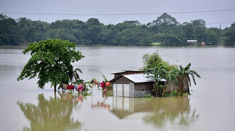 বানভাসি অসমে মৃত বেড়ে ১০৭, ক্ষতিগ্রস্ত ৫৬ লক্ষের বেশি