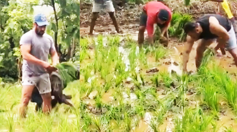 সমালোচনার পরোয়া নেই! গোড়ালি-জলে দাঁড়িয়ে ধানের চারা রোপনের ভিডিও শেয়ার করলেন সলমন