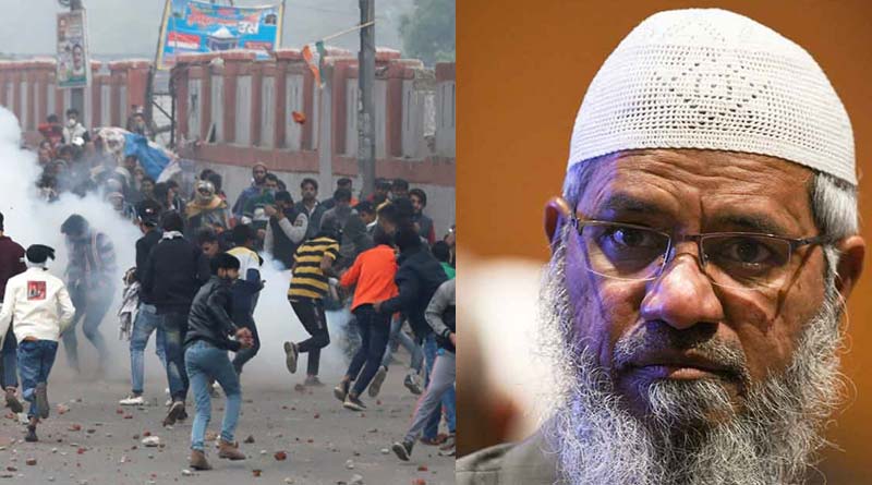 Delhi riots: Links to Zakir Naik established in Delhi police probe